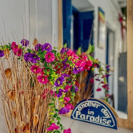 Appartamento Mykonos Townhouse Megali Ammos (Mykonos)